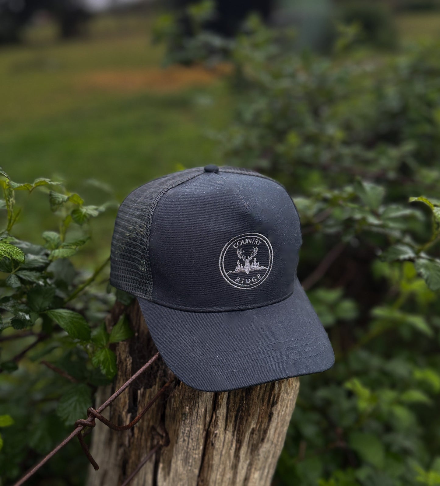 Country Ridge everyday cap - BLACK